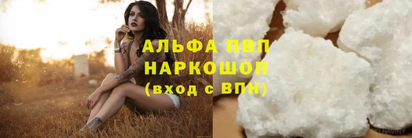 соль ск Каменногорск