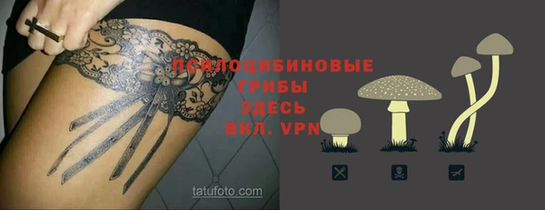 ПСИЛОЦИБИНОВЫЕ ГРИБЫ Иннополис