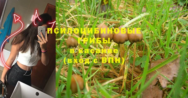 COCAINE Каменск-Шахтинский